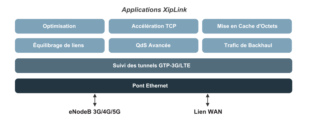 GTP Transparency